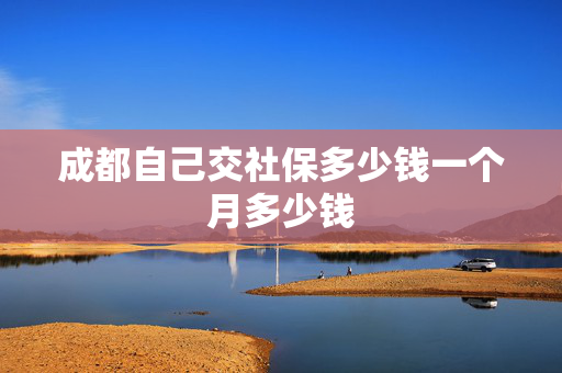 成都自己交社保多少钱一个月多少钱