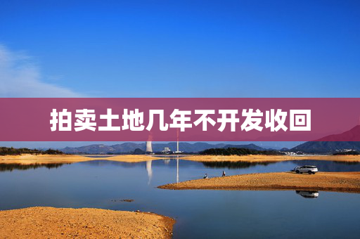 拍卖土地几年不开发收回