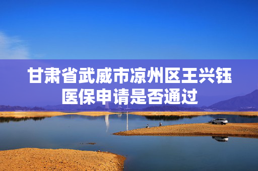 甘肃省武威市凉州区王兴钰医保申请是否通过