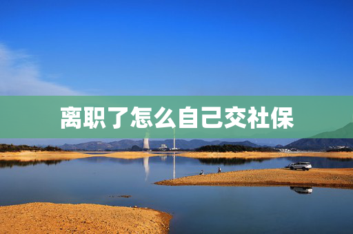 离职了怎么自己交社保