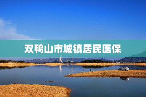 双鸭山市城镇居民医保