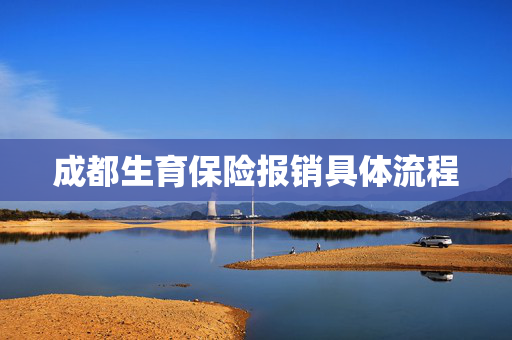 成都生育保险报销具体流程