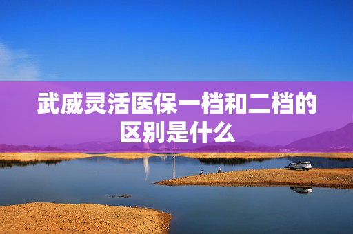 武威灵活医保一档和二档的区别是什么