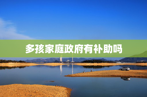 多孩家庭政府有补助吗