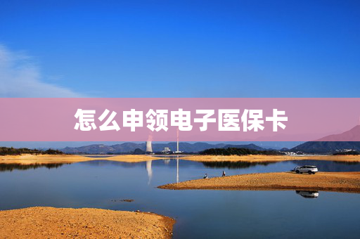 怎么申领电子医保卡