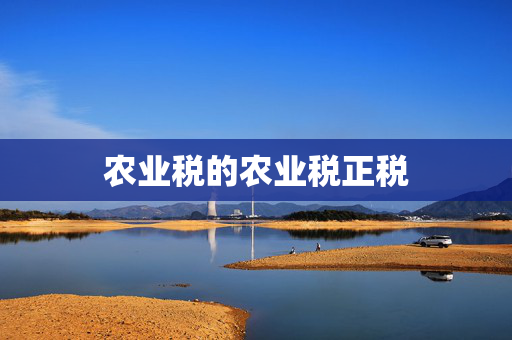 农业税的农业税正税