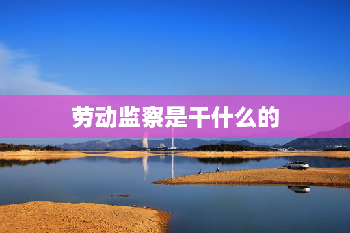 劳动监察是干什么的