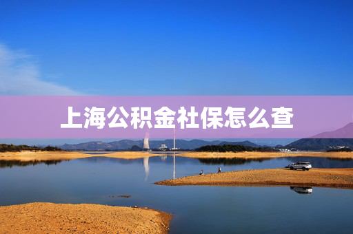 上海公积金社保怎么查
