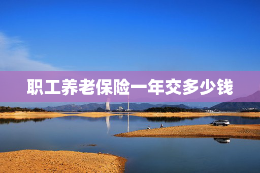 职工养老保险一年交多少钱