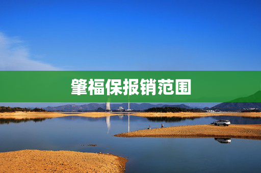 肇福保报销范围