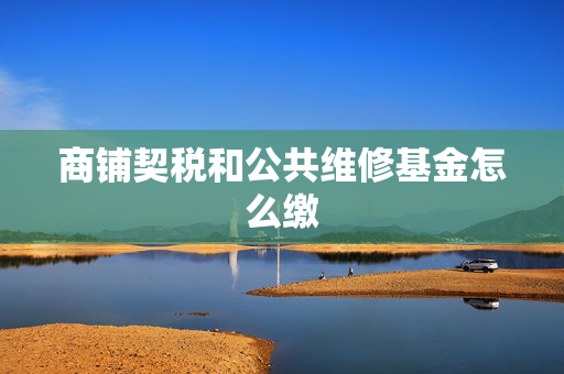 商铺契税和公共维修基金怎么缴