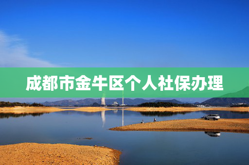 成都市金牛区个人社保办理