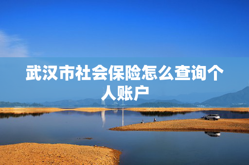 武汉市社会保险怎么查询个人账户