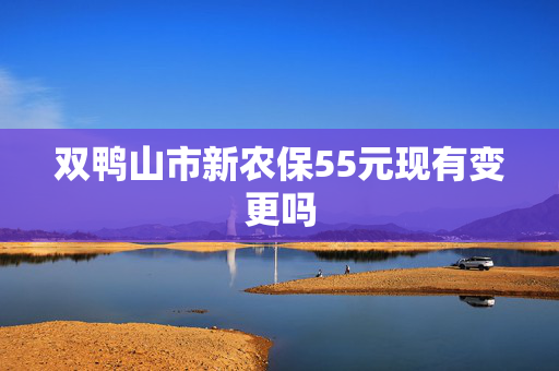 双鸭山市新农保55元现有变更吗
