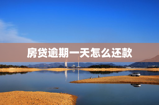 房贷逾期一天怎么还款