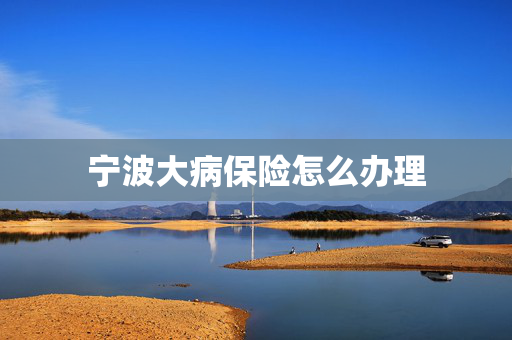 宁波大病保险怎么办理