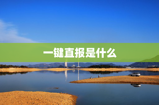 一键直报是什么