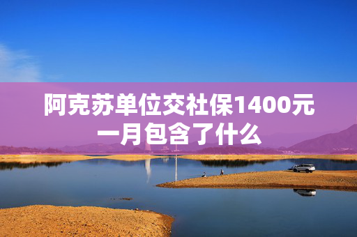 阿克苏单位交社保1400元一月包含了什么