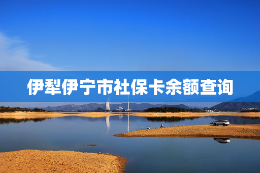 伊犁伊宁市社保卡余额查询