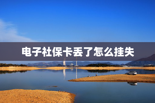 电子社保卡丢了怎么挂失