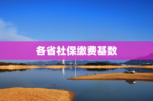 各省社保缴费基数