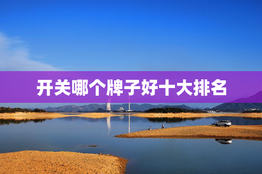 开关哪个牌子好十大排名