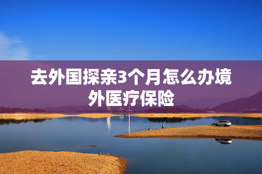 去外国探亲3个月怎么办境外医疗保险
