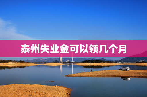 泰州失业金可以领几个月
