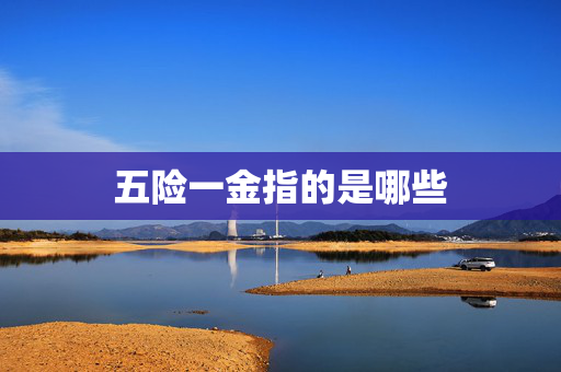 五险一金指的是哪些