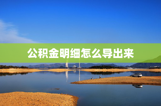 公积金明细怎么导出来