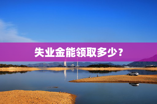 失业金能领取多少？
