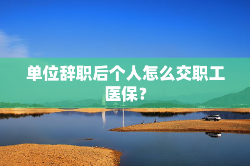 单位辞职后个人怎么交职工医保？