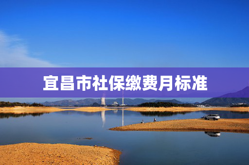 宜昌市社保缴费月标准
