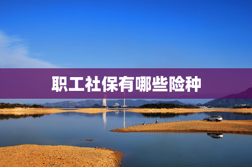 职工社保有哪些险种