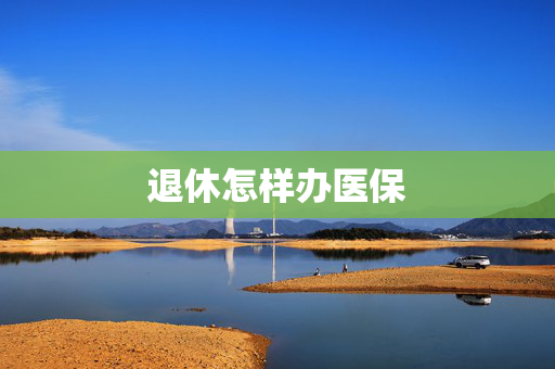 退休怎样办医保