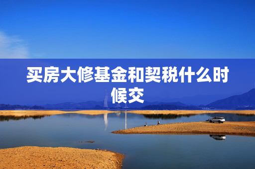 买房大修基金和契税什么时候交
