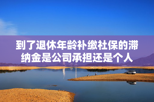 到了退休年龄补缴社保的滞纳金是公司承担还是个人