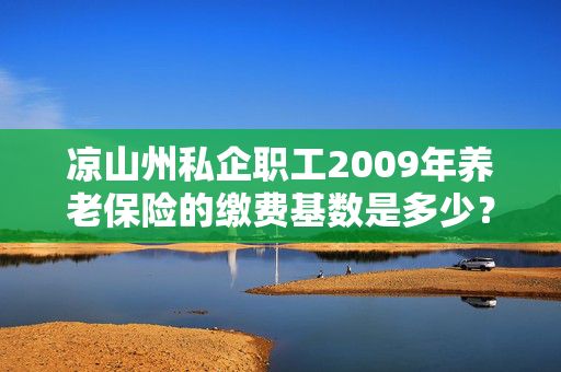 凉山州私企职工2009年养老保险的缴费基数是多少？