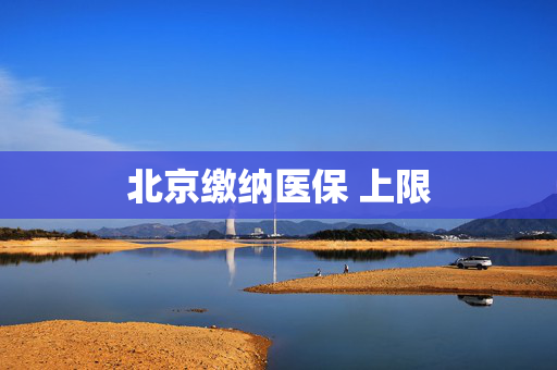 北京缴纳医保 上限