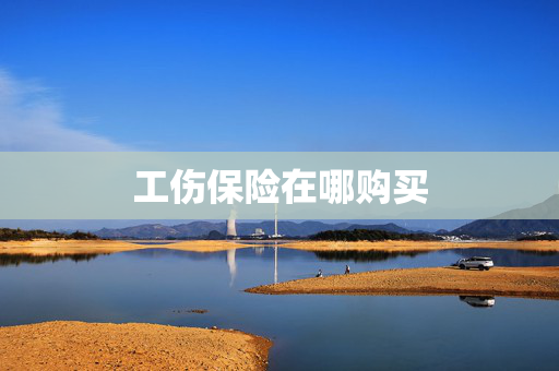工伤保险在哪购买