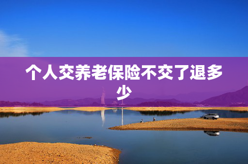 个人交养老保险不交了退多少