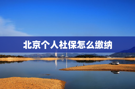 北京个人社保怎么缴纳