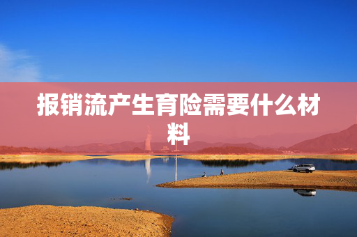 报销流产生育险需要什么材料