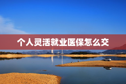 个人灵活就业医保怎么交