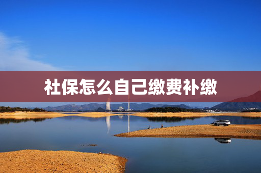 社保怎么自己缴费补缴