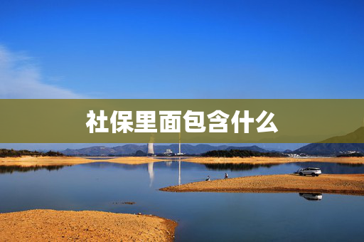社保里面包含什么
