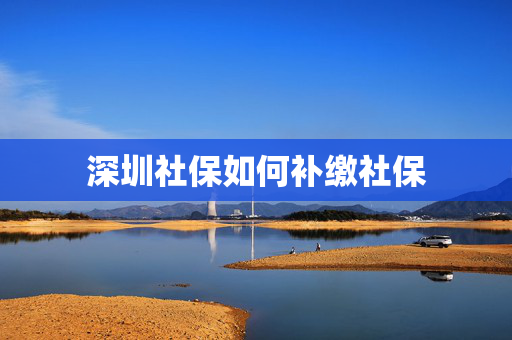 深圳社保如何补缴社保