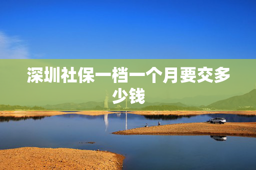 深圳社保一档一个月要交多少钱