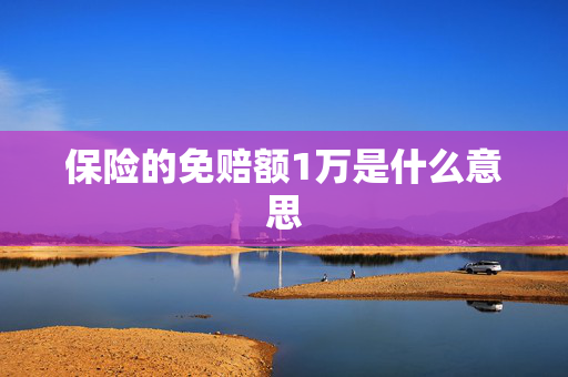 保险的免赔额1万是什么意思