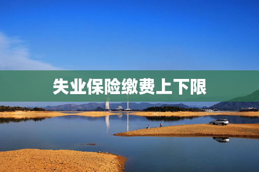 失业保险缴费上下限